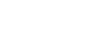 Logo Incoint